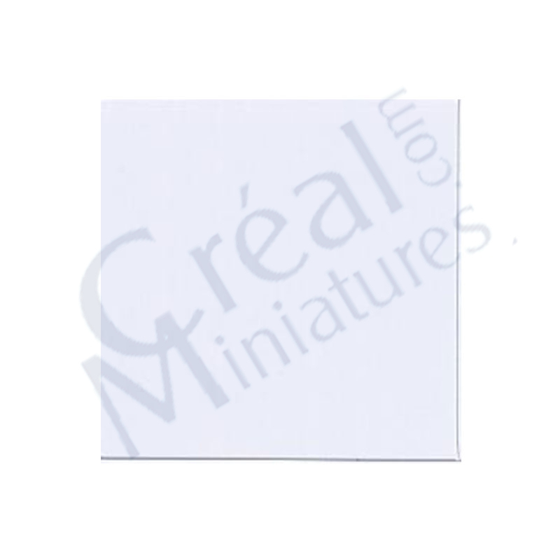 Carrelage sol PVC uni blanc brill PETIT