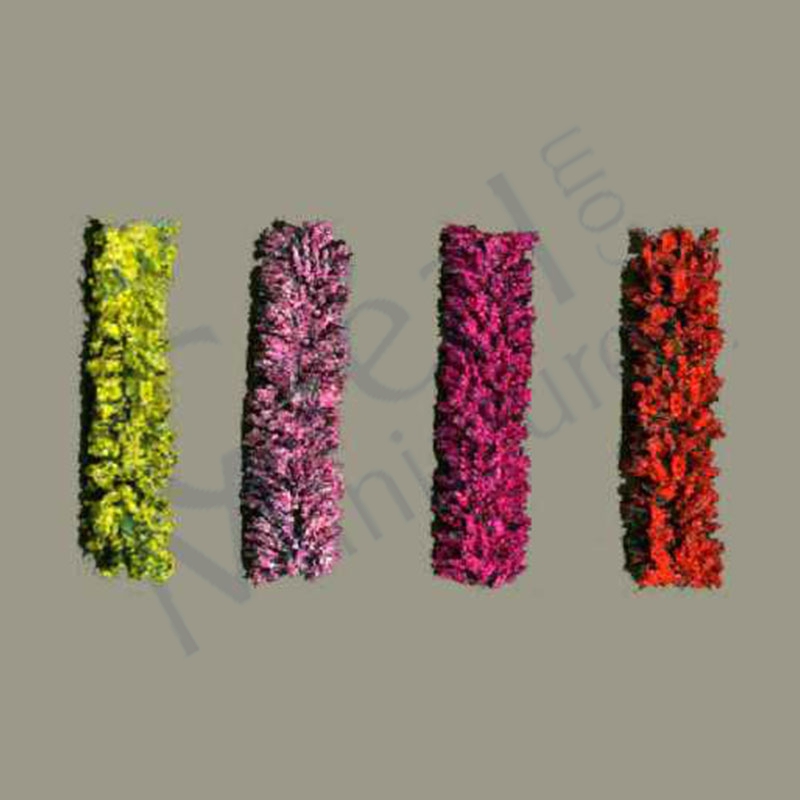 4 hedges ass.colors