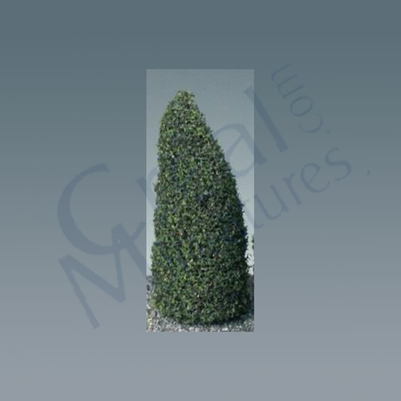 Tree-pines 4.5 tall