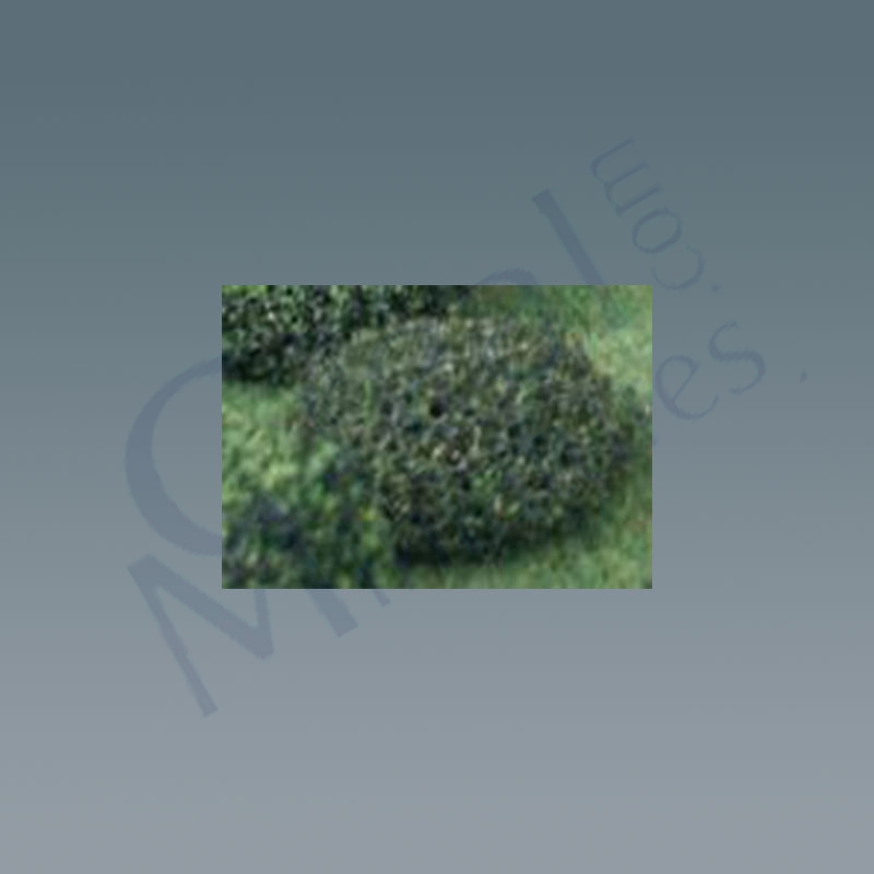 2 Buesche 2cm