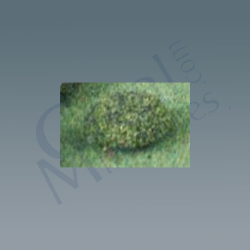 2 Tree-mound 1 tall