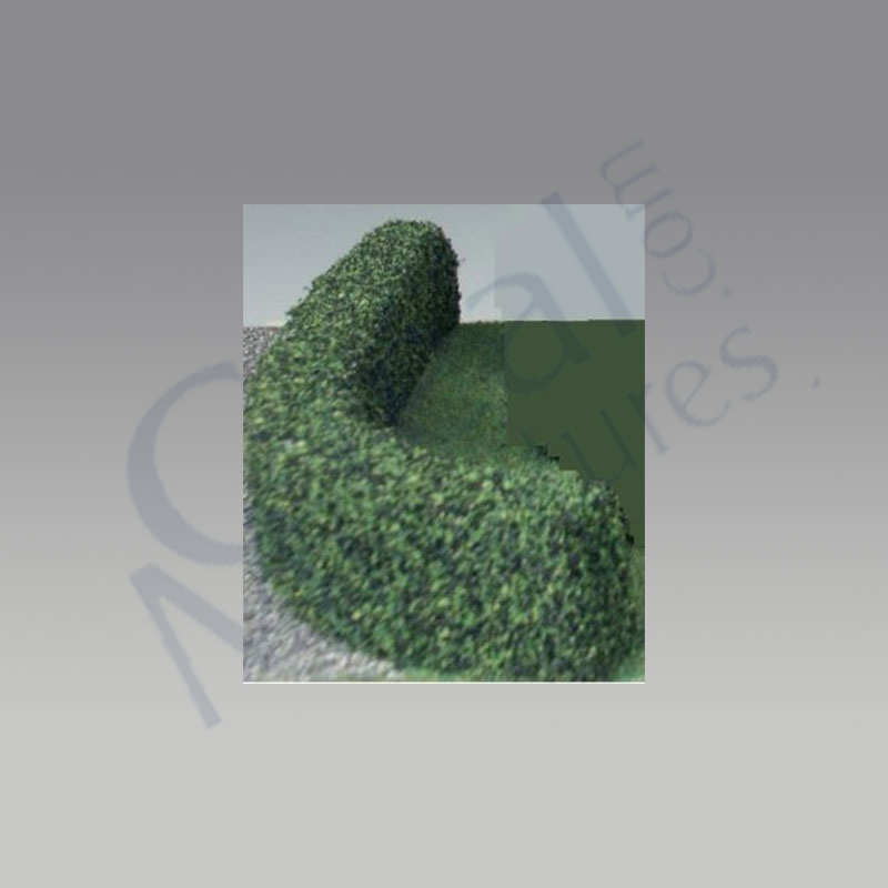 Hedge coated 1.5x1x12
