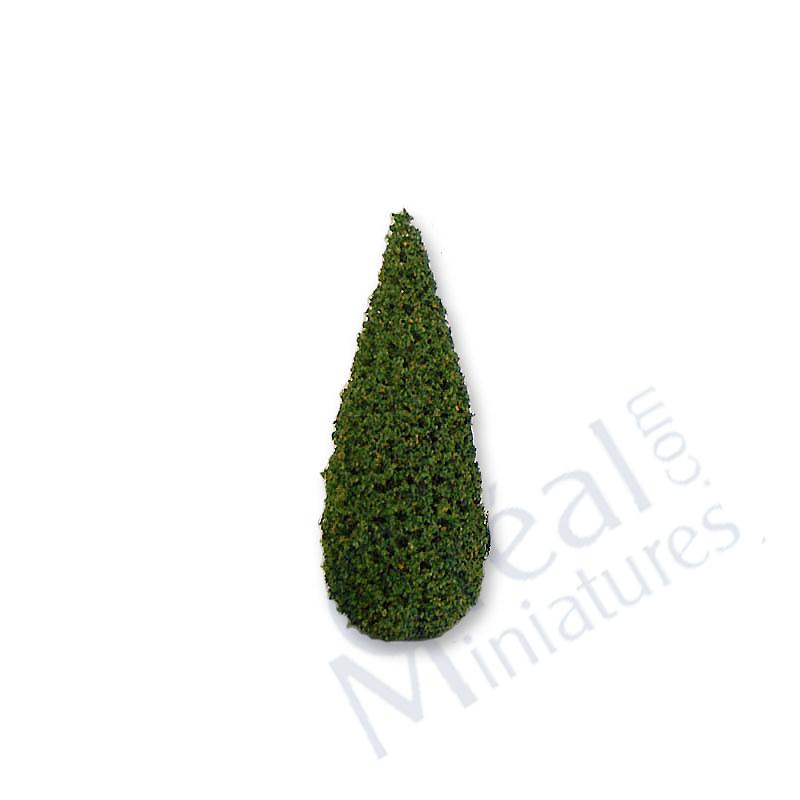 Buis pointu vert clair