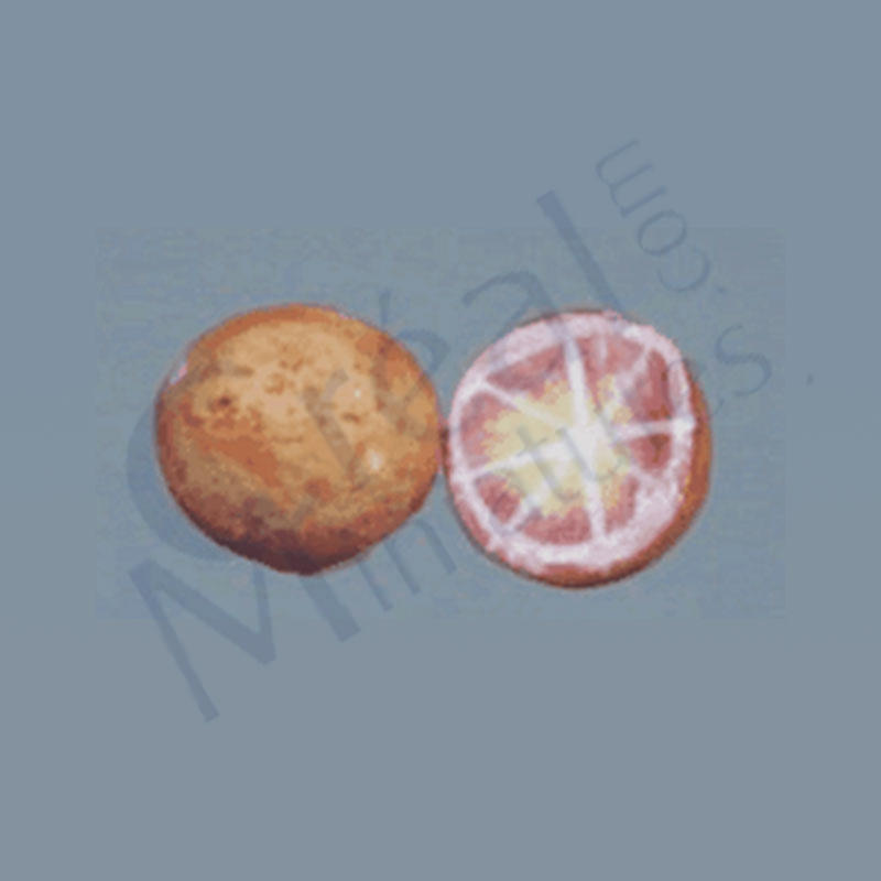 1/2 grapefruit