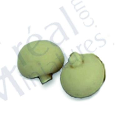 Champignon