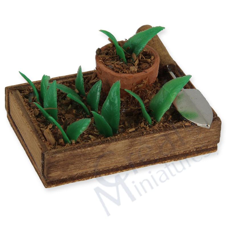 Carré potager