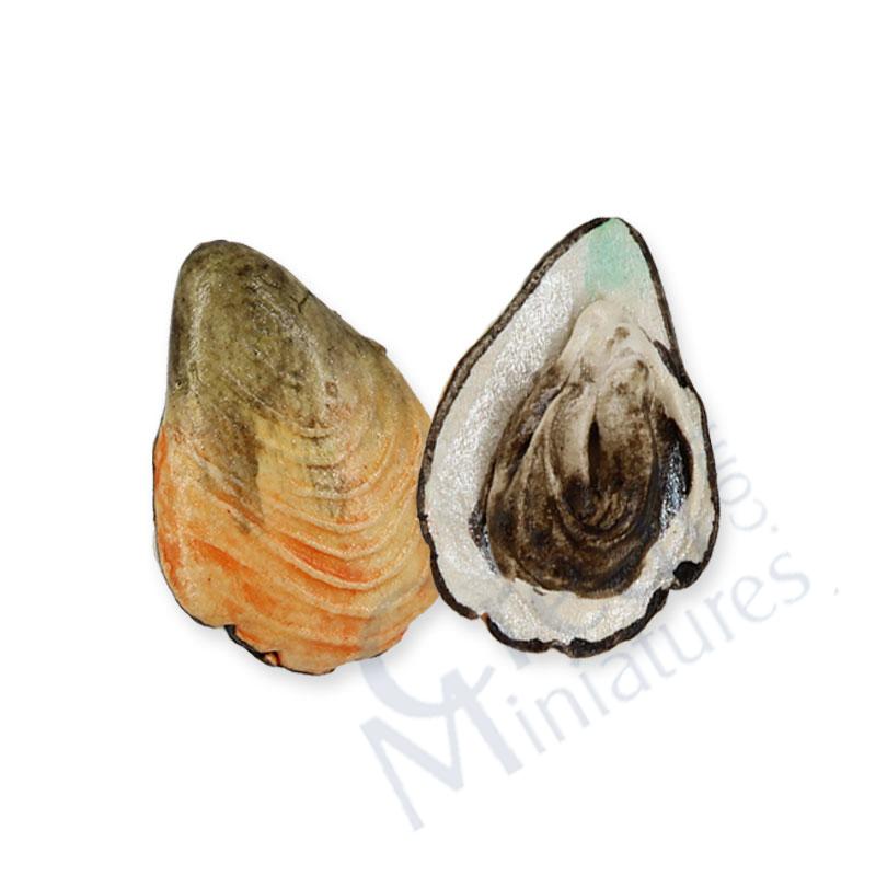 Oyster .