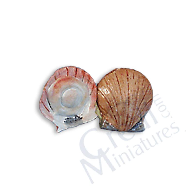 Coquille Saint Jacques