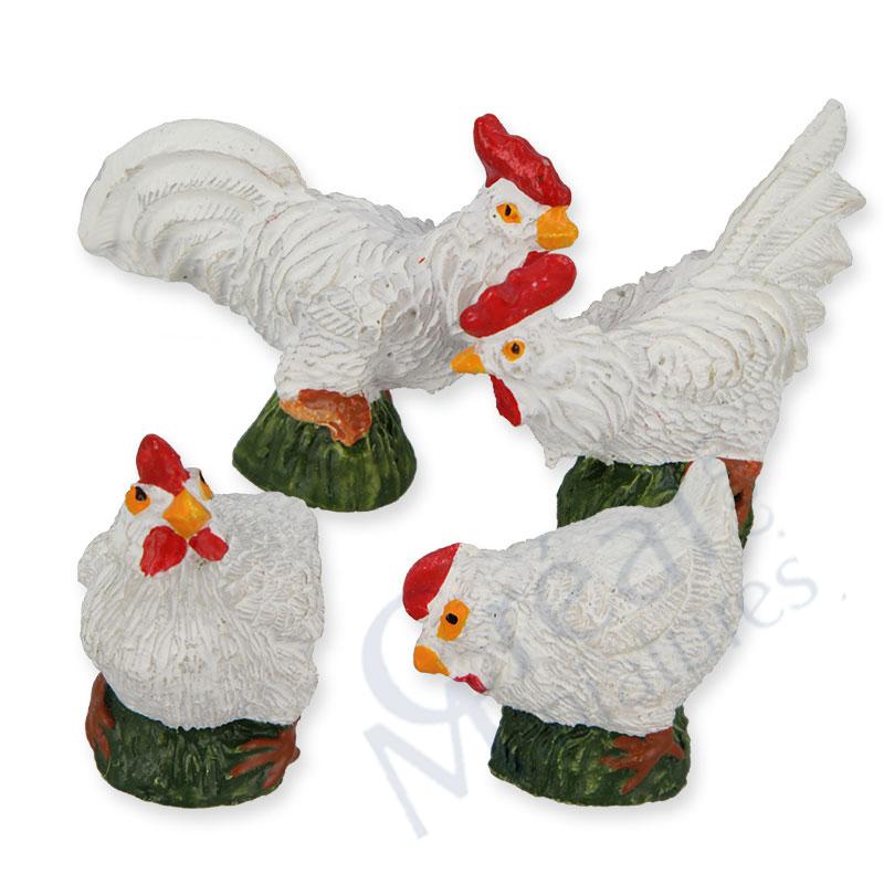 Cocks + hens ass.