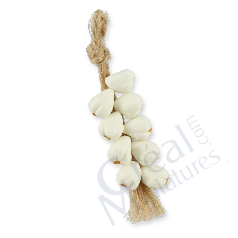 Braid of garlic