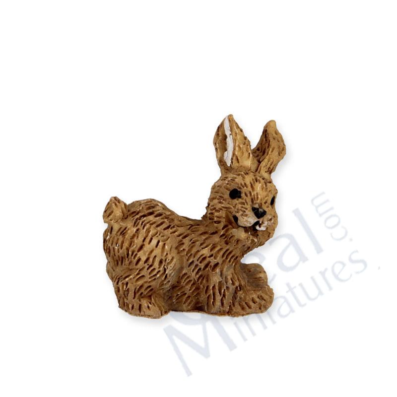 Lapin