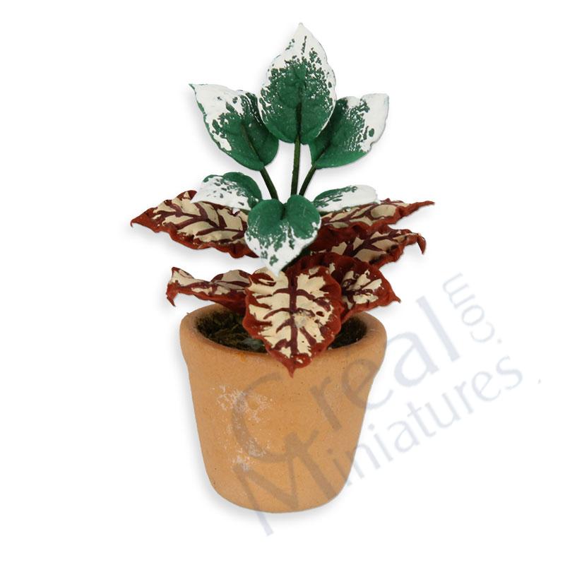Pot plante verte