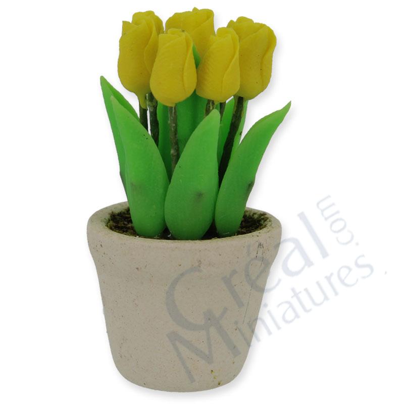 Pot de tulipes jaunes
