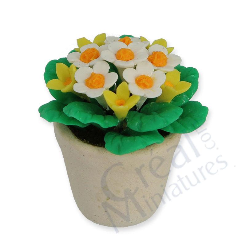 Flower in pot