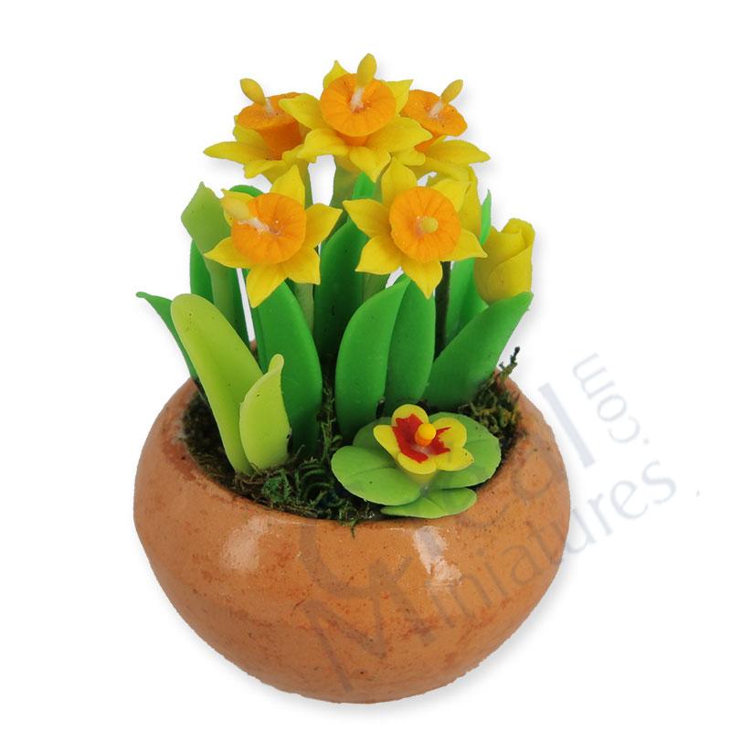 Mixed flowers in pot