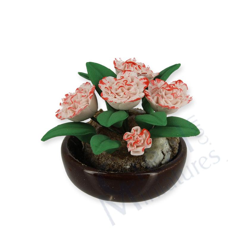 Flowers white/pink in basket