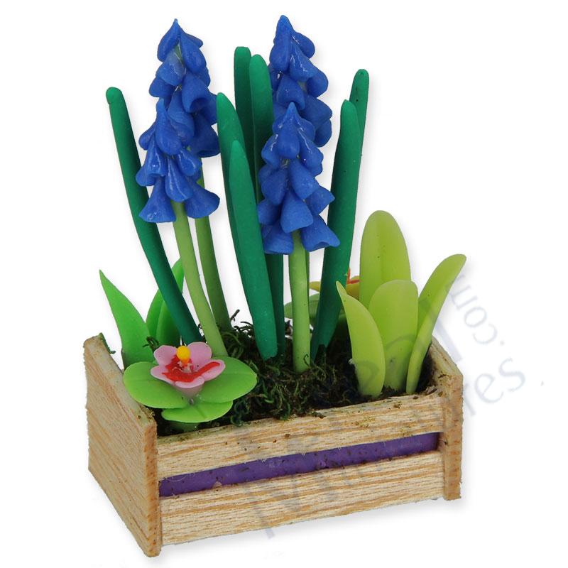Caisse bois/iris bleu