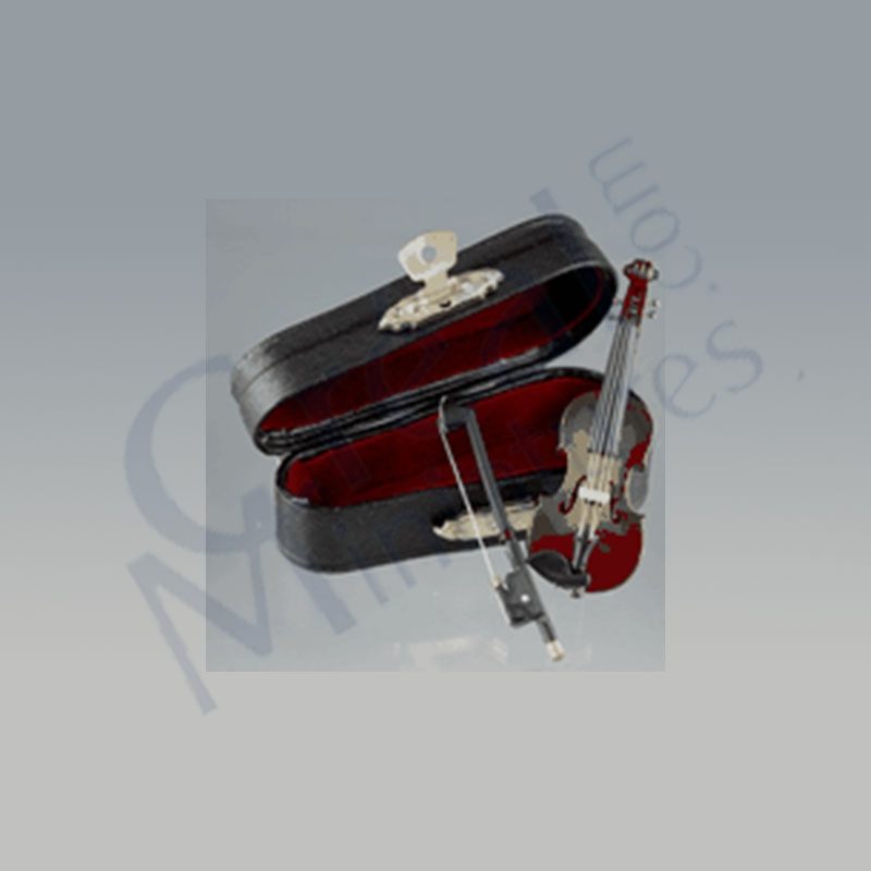 Violin w/black leather box