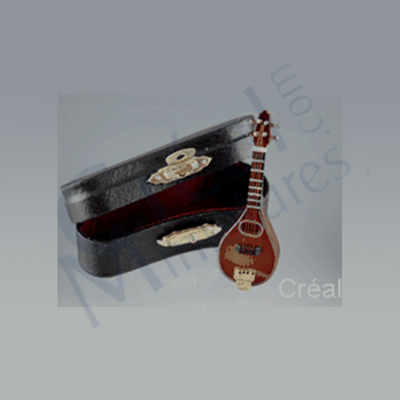 Mandoline w/ black leather box