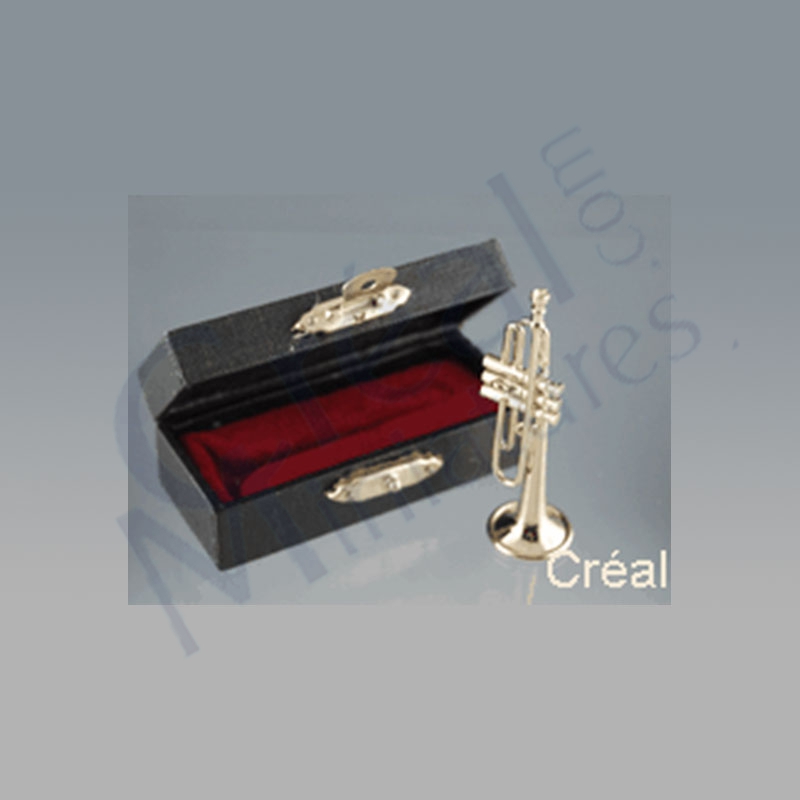 Trumpet w/ black leather box
