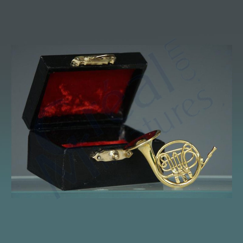 Horn w black leather box