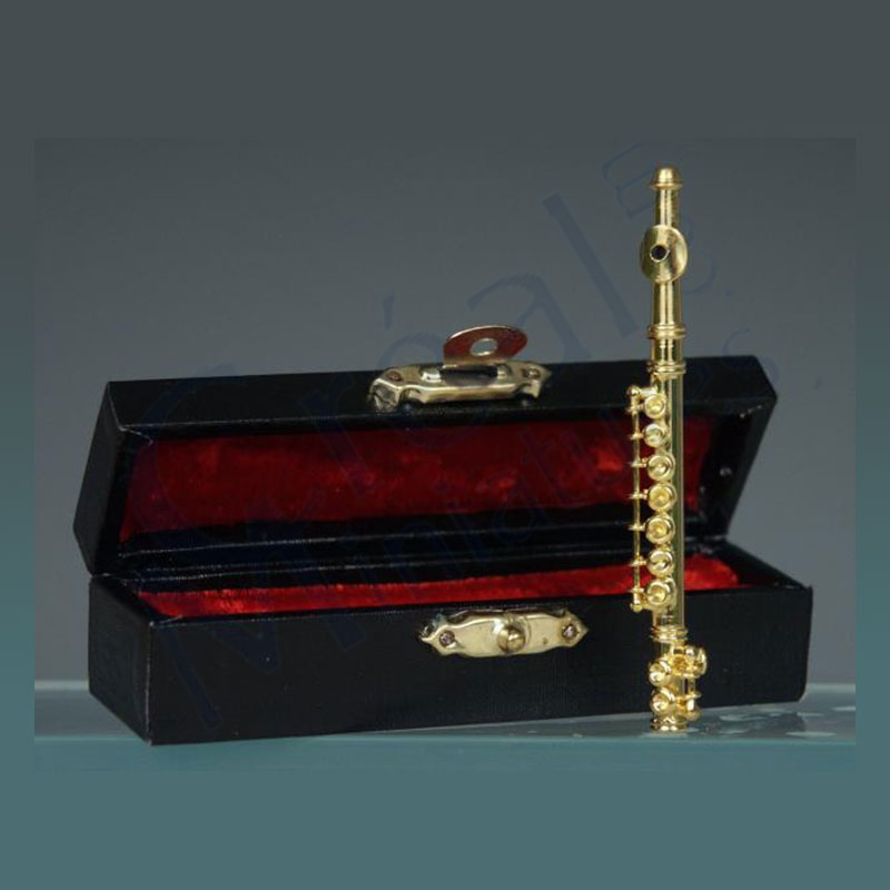Flute traversière avec coffret noir