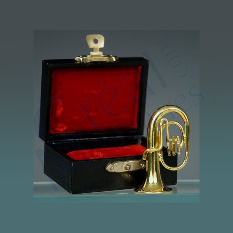 Tuba w/black leather box