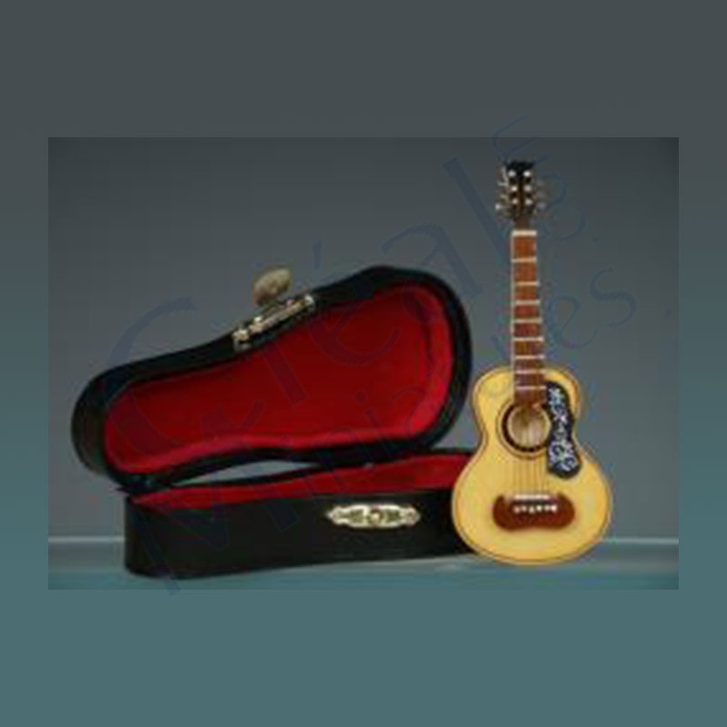 Gitar w/black leather box