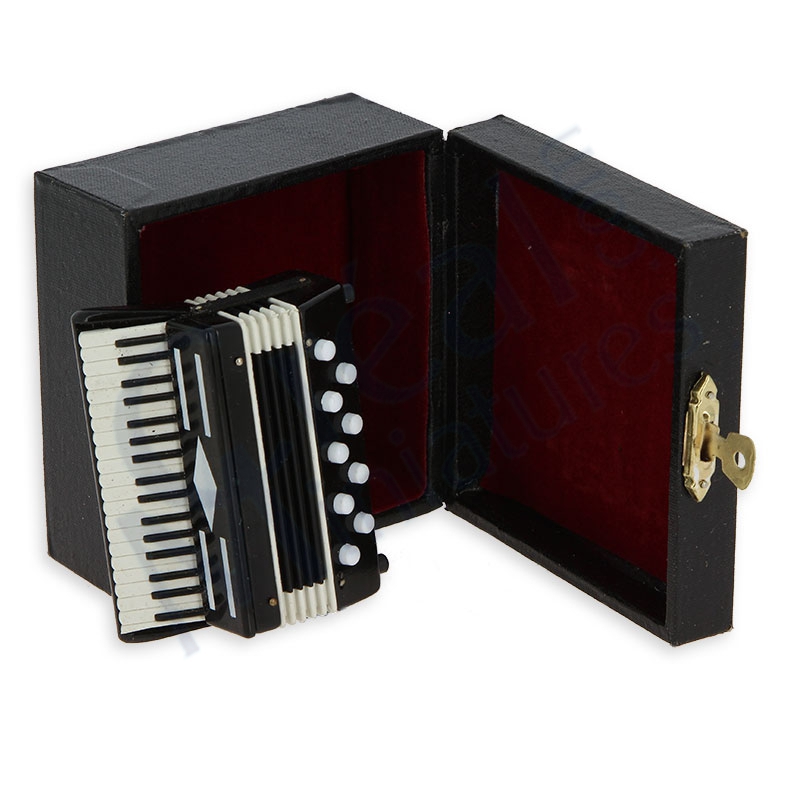Accordéon avec coffret noir