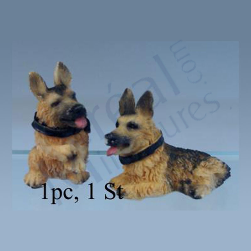 Dog: german shepherd