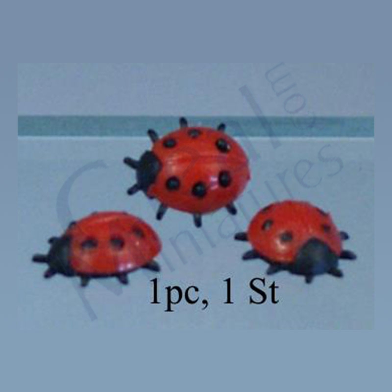 Ladybird