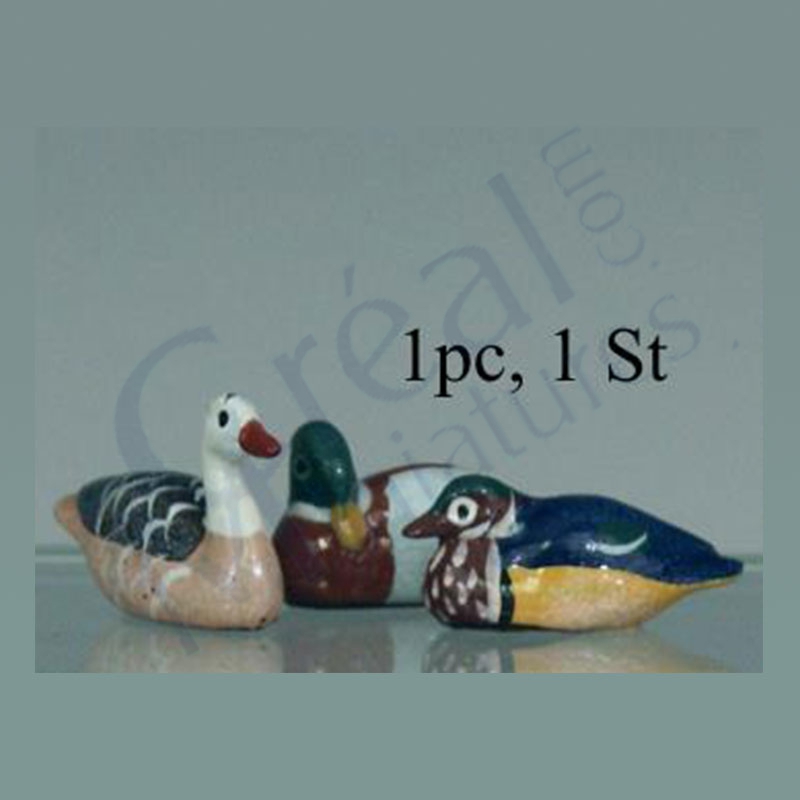 Painted duck