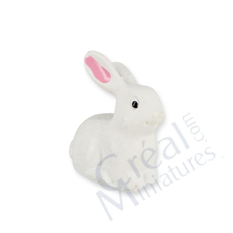White rabbit
