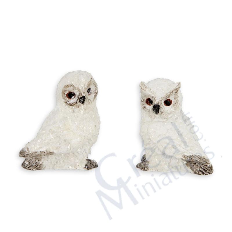 Snow owl