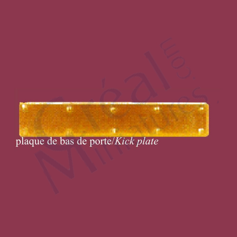 Kick plate gold